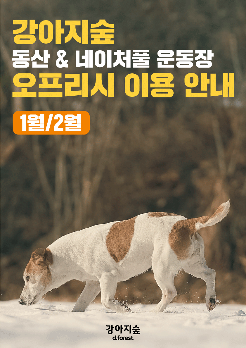 <font color='#555555'>1월&2월 강아지숲 동산&네이처풀 운동장 오프리시 일정</font>