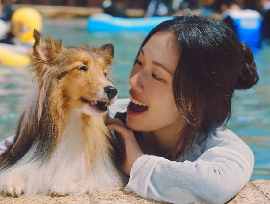 강아지숲 네이처풀01