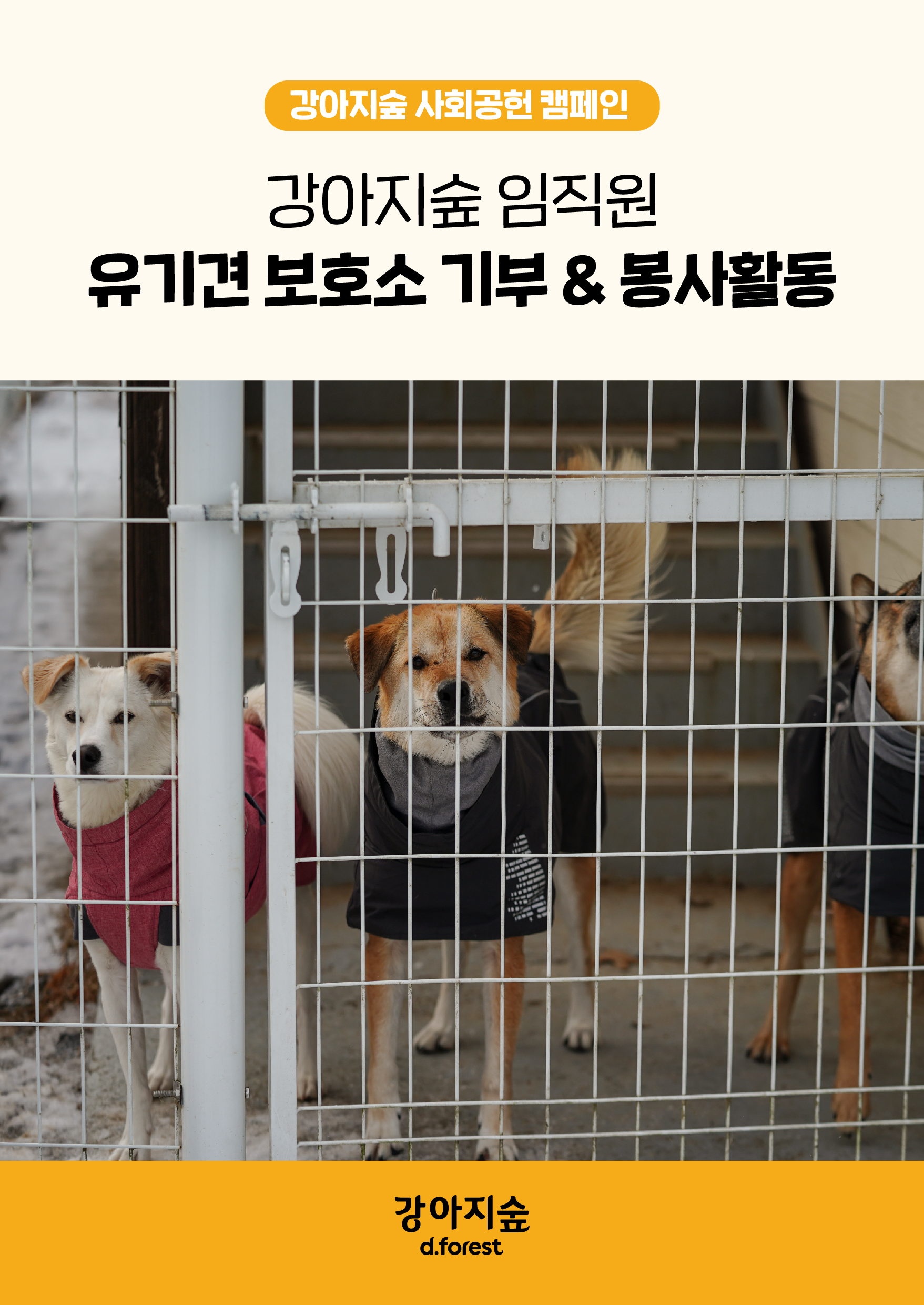 <font color='#555555'>2023 강아지숲 임직원 기부&봉사활동</font>