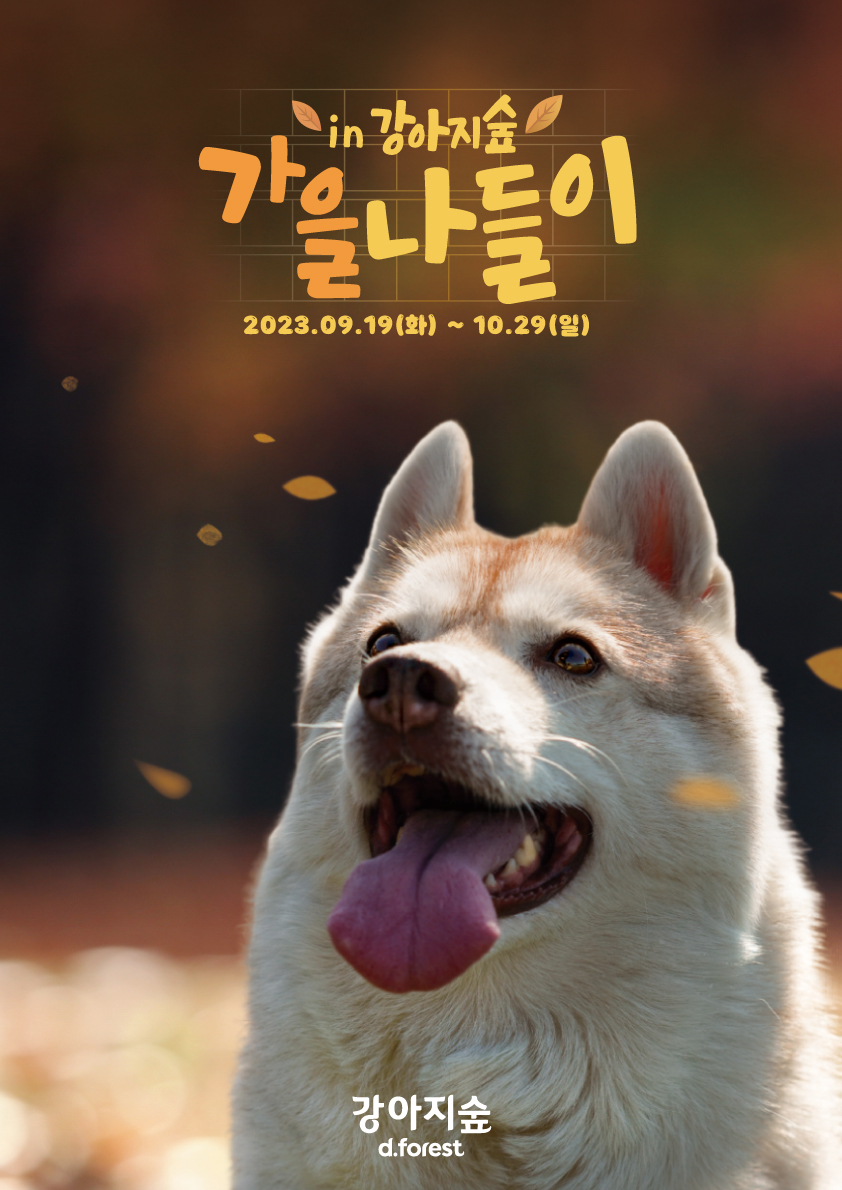 <font color='#555555'>강아지숲 가을나들이 안내(9/19~10/29)</font>