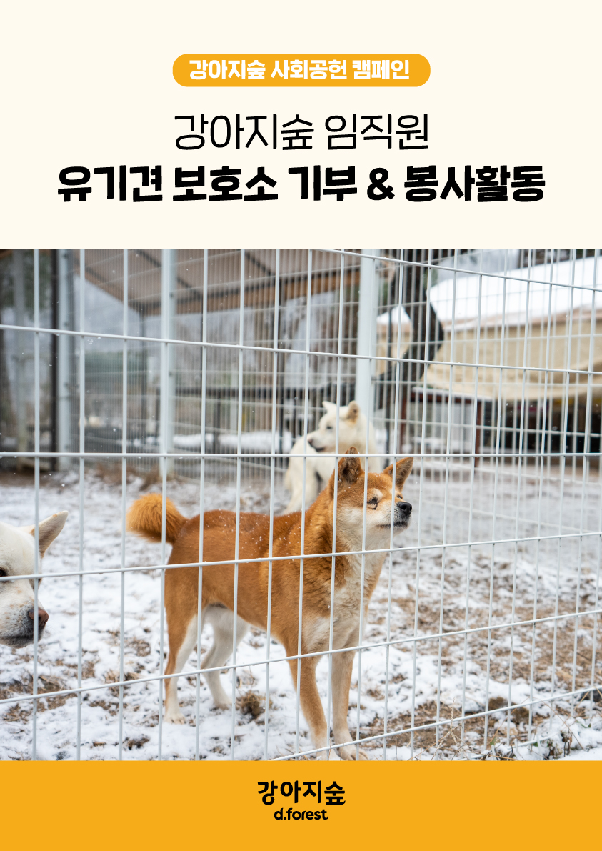 <font color='#555555'>2023 강아지숲 임직원 연말 봉사&기부(with 강원생명과학고)</font>