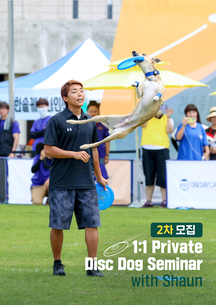 <font color='#555555'>1:1 프라이빗 디스크도그 세미나 개최(2024 마감)</font>