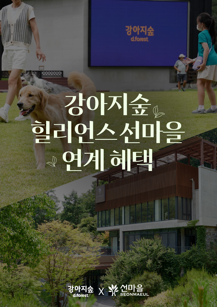 강아지숲X힐리언스 선마을 연계 혜택