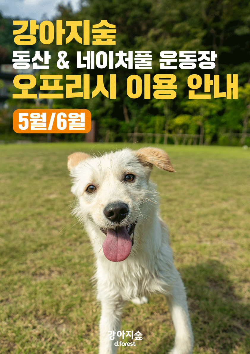 5월&6월 강아지숲 동산&네이처풀 운동장 오프리시 일정