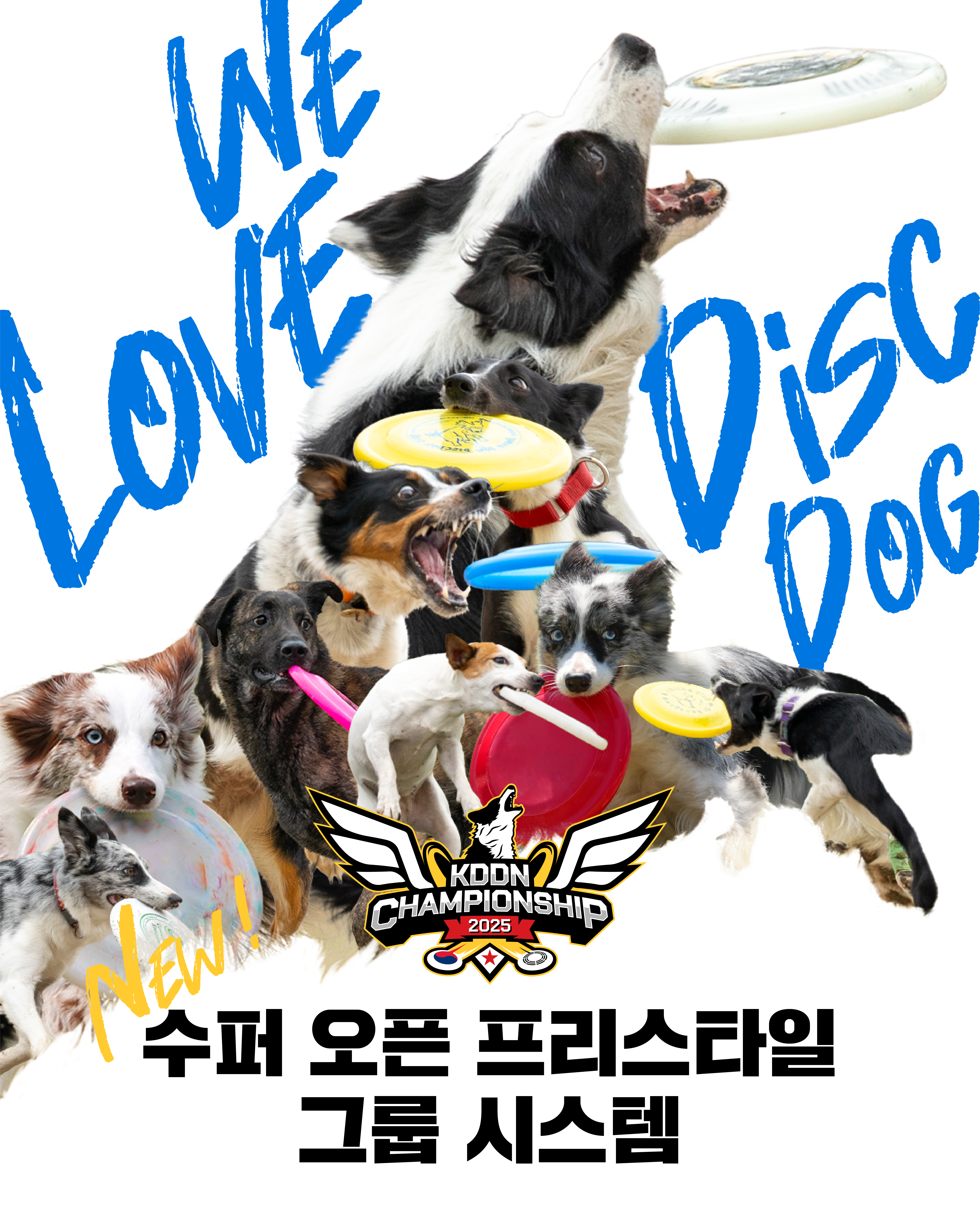 <font color='#555555'>NEW 수퍼 오픈 프리스타일 그룹 시스템 도입 안내</font>